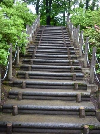 イメージ 15