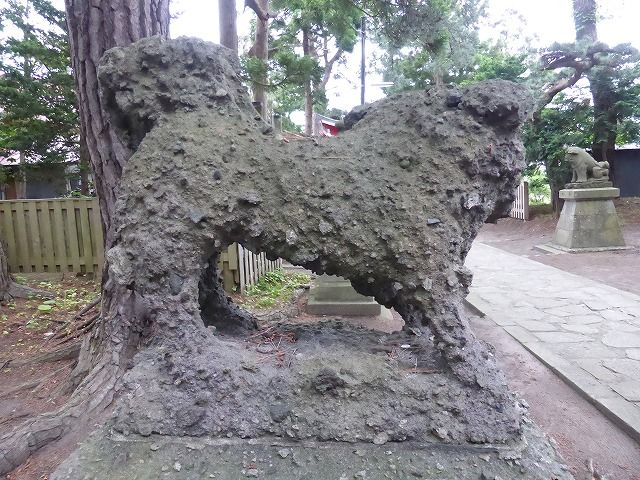 イメージ 18