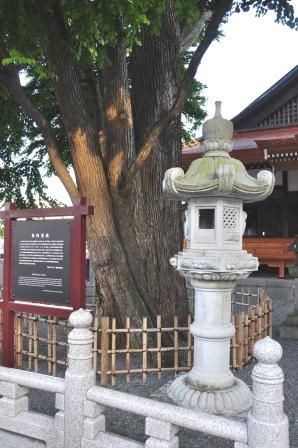 イメージ 13