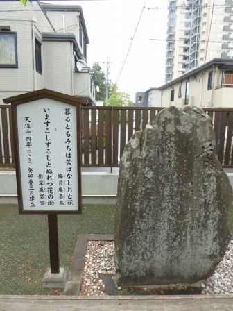 イメージ 33
