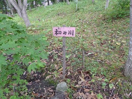 イメージ 14