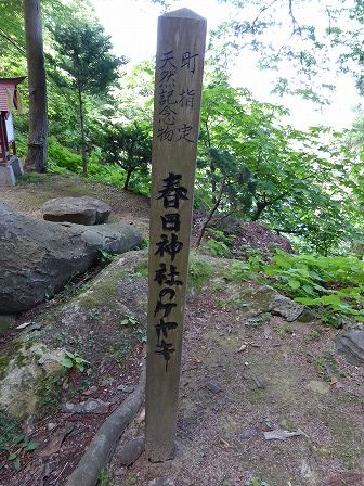 イメージ 26