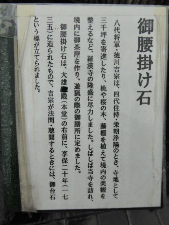 イメージ 39