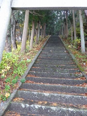イメージ 17