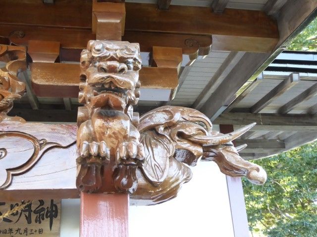 イメージ 7
