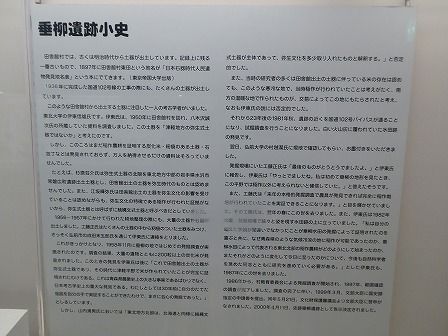 イメージ 31