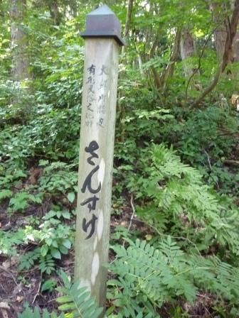 イメージ 14
