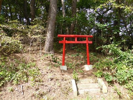 イメージ 15