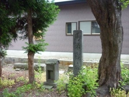 イメージ 7