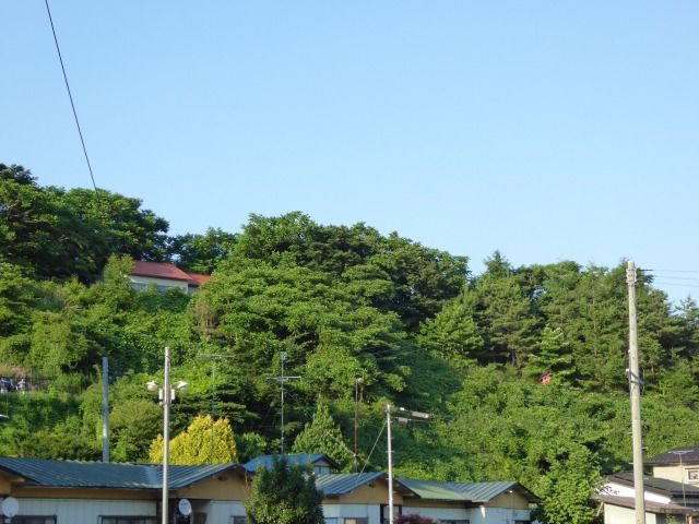 イメージ 7