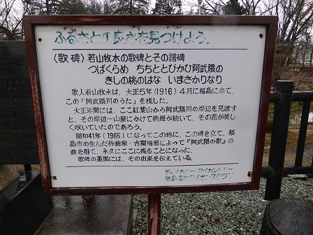 イメージ 5