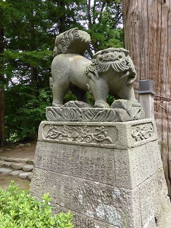 イメージ 59