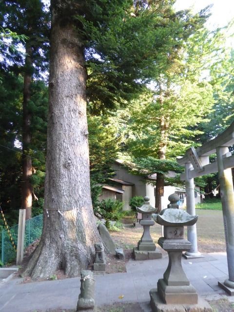 イメージ 25