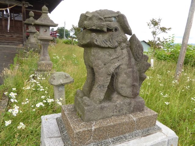 イメージ 16