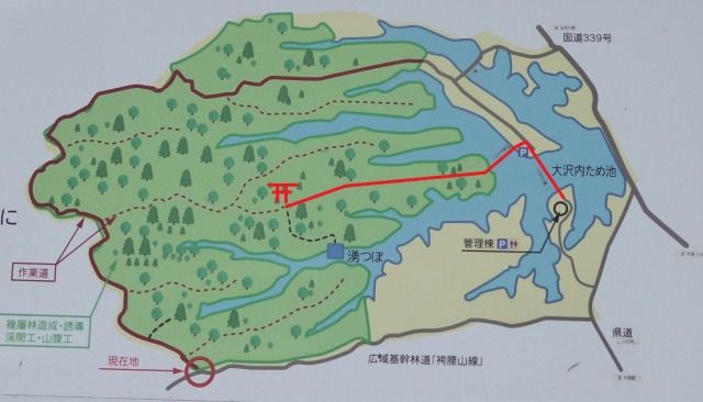 イメージ 12