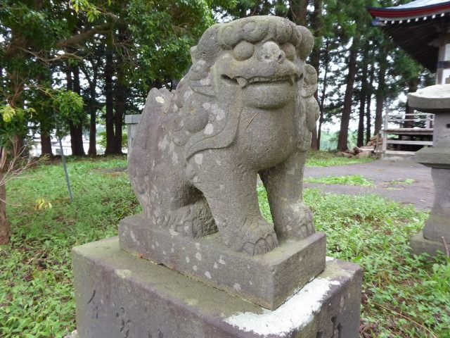 イメージ 17