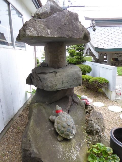 イメージ 8