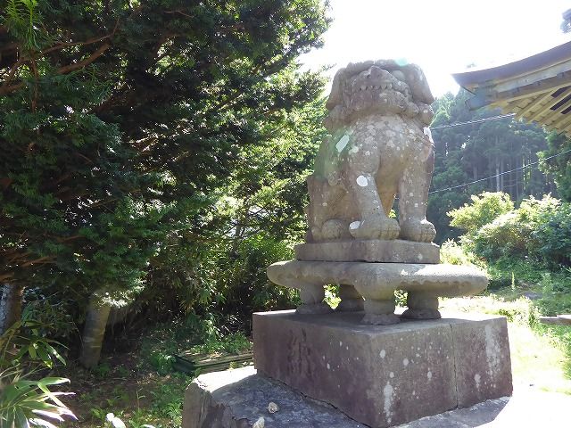 イメージ 15