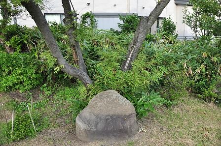 イメージ 9