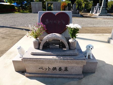 イメージ 6