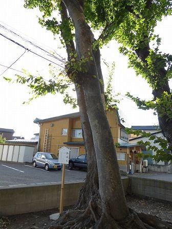イメージ 9