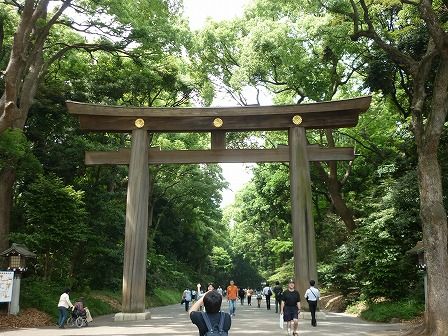 イメージ 5