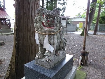 イメージ 16