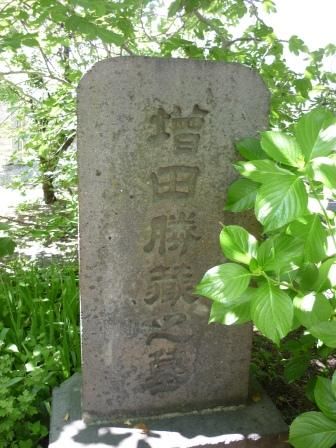 イメージ 6