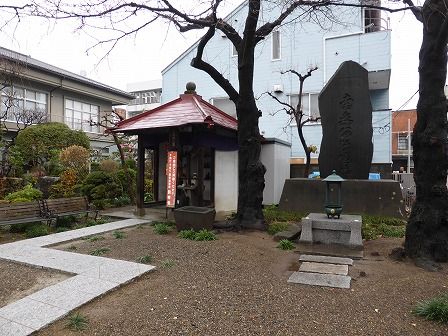 イメージ 6