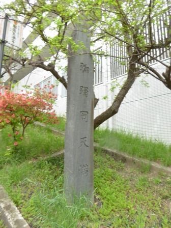 イメージ 10