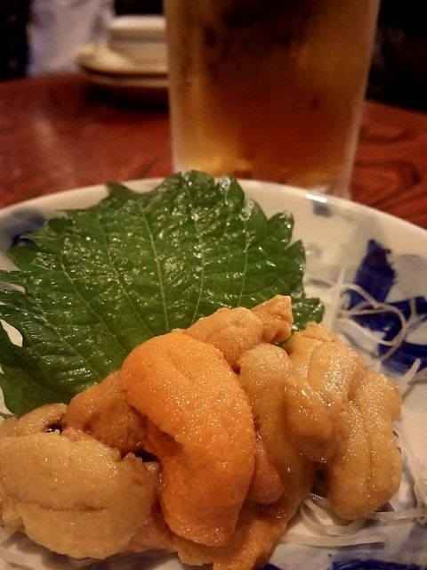 イメージ 48