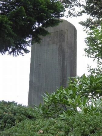 イメージ 16