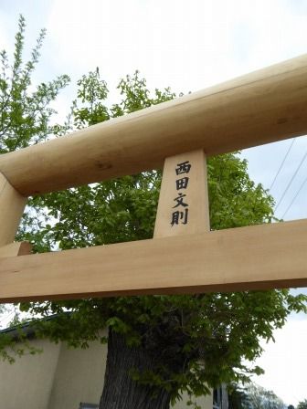 イメージ 12