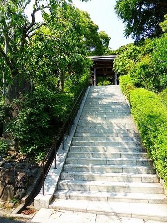 イメージ 35