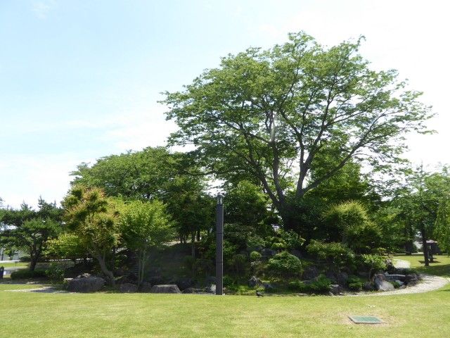 イメージ 24
