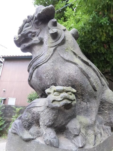 イメージ 40
