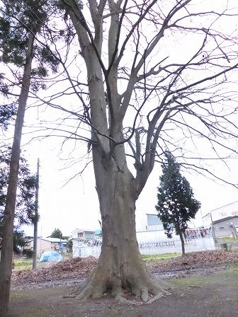 イメージ 22
