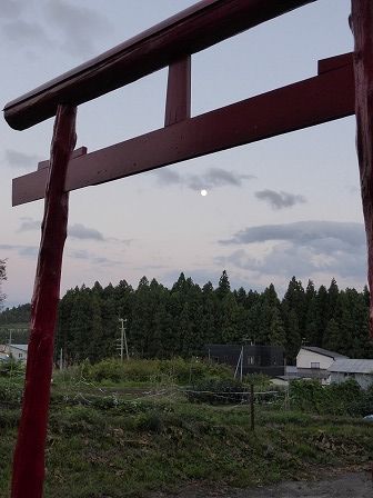 イメージ 7