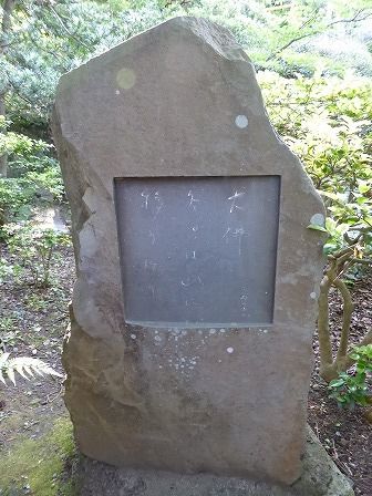 イメージ 15