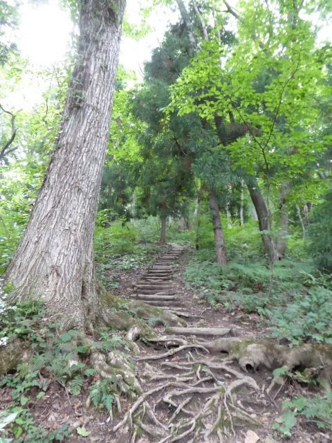 イメージ 63