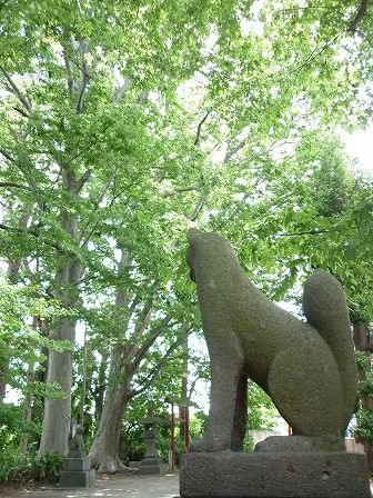 イメージ 12
