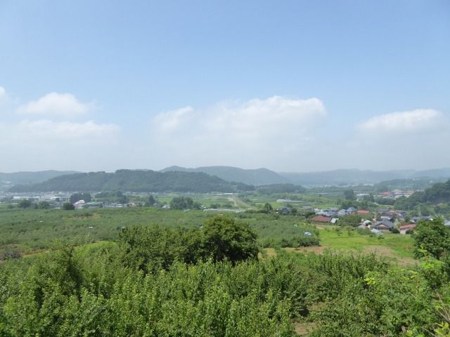イメージ 7