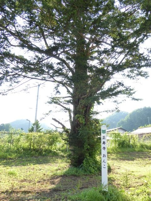 イメージ 18