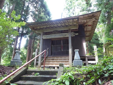 20