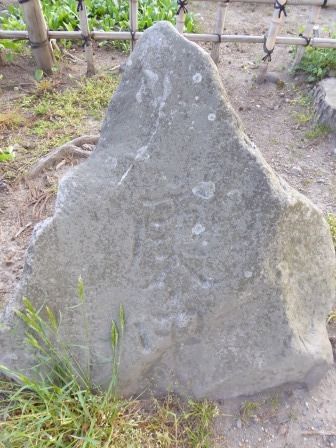 イメージ 14