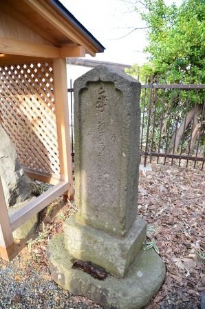 イメージ 16