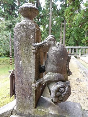 イメージ 7