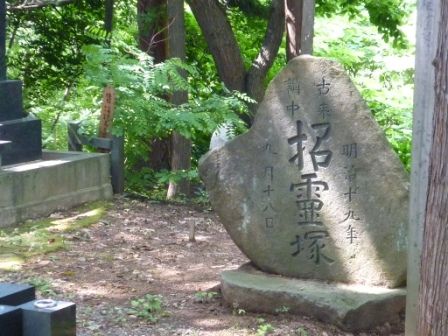 イメージ 37
