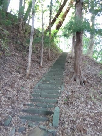 イメージ 16