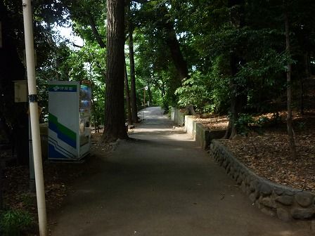 イメージ 13